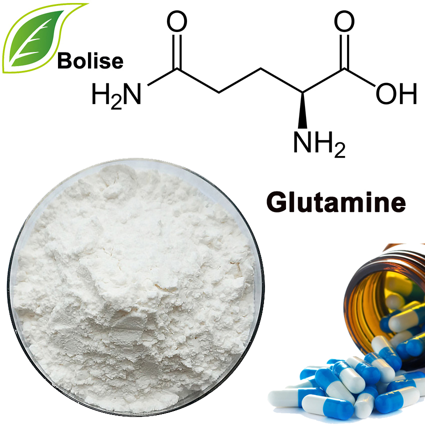 Glutamine
