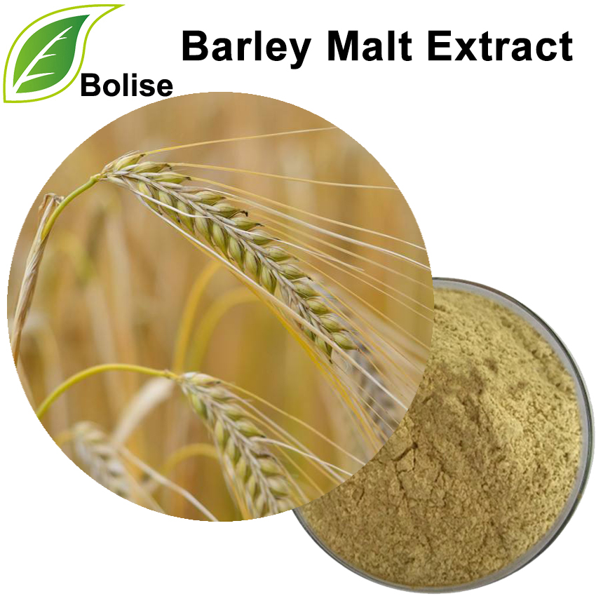 Barley Malt Extract