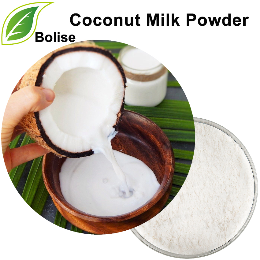 Coconut Milk Powder