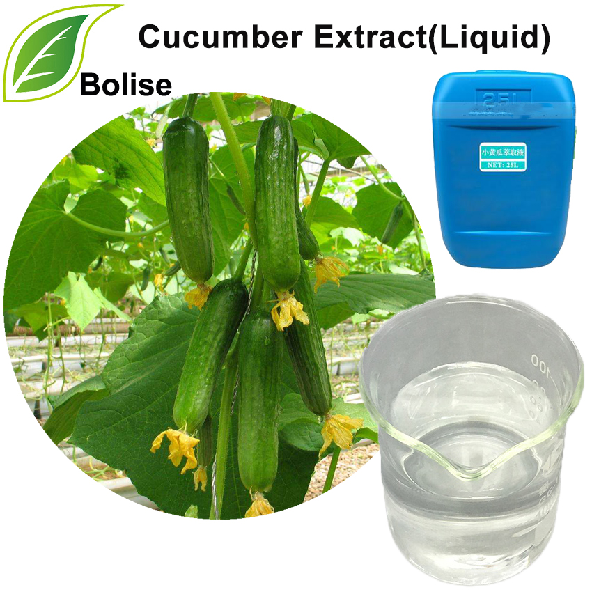 Cucumber Extract(Liquid)