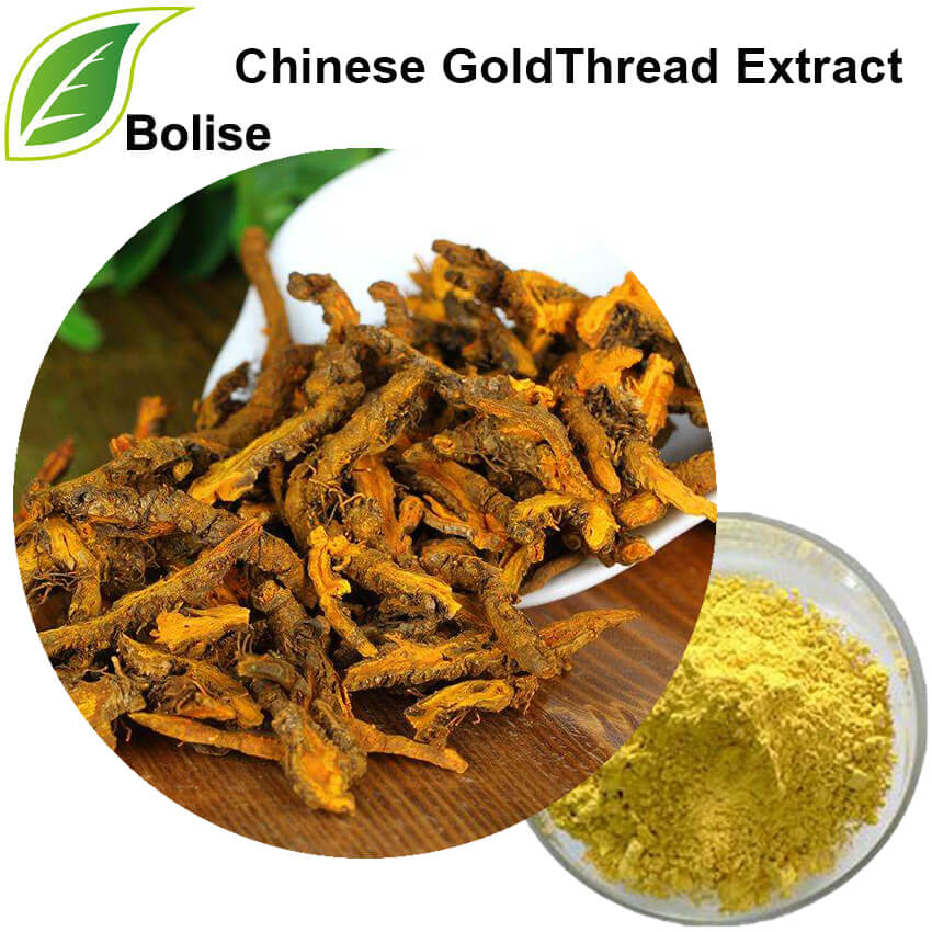 Chinese GoldThread Extract