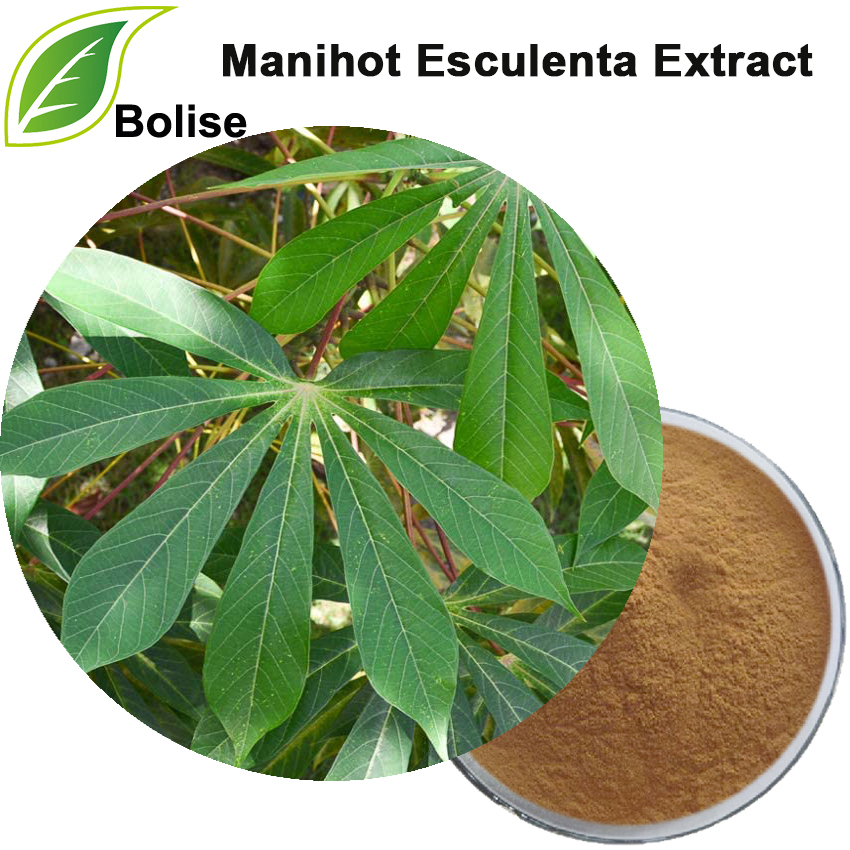 Manihot Esculenta Extract(Cassava Leaf Extract)