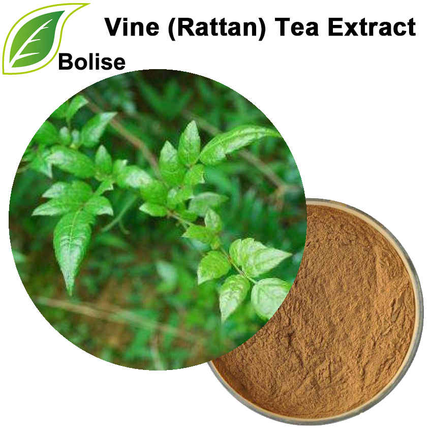 Vine (Rattan) Tea Extract