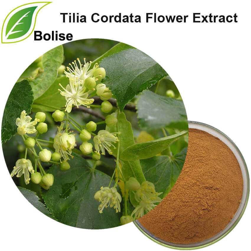 Tilia Cordata Flower Extract(Linden Blossom Extract)