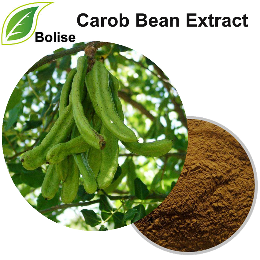 Carob Bean Extract