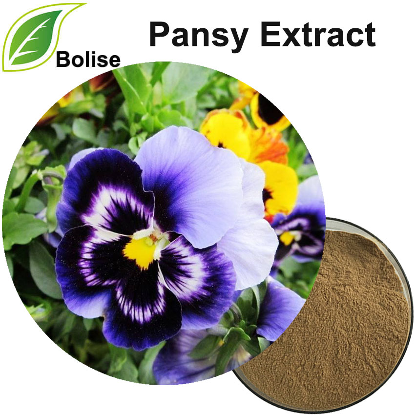 Pansy Extract(Viola Tricolor Extract)