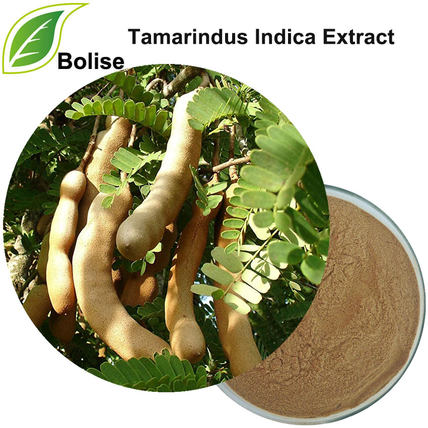 Tamarind Extract(Tamarindus Indica Extract)