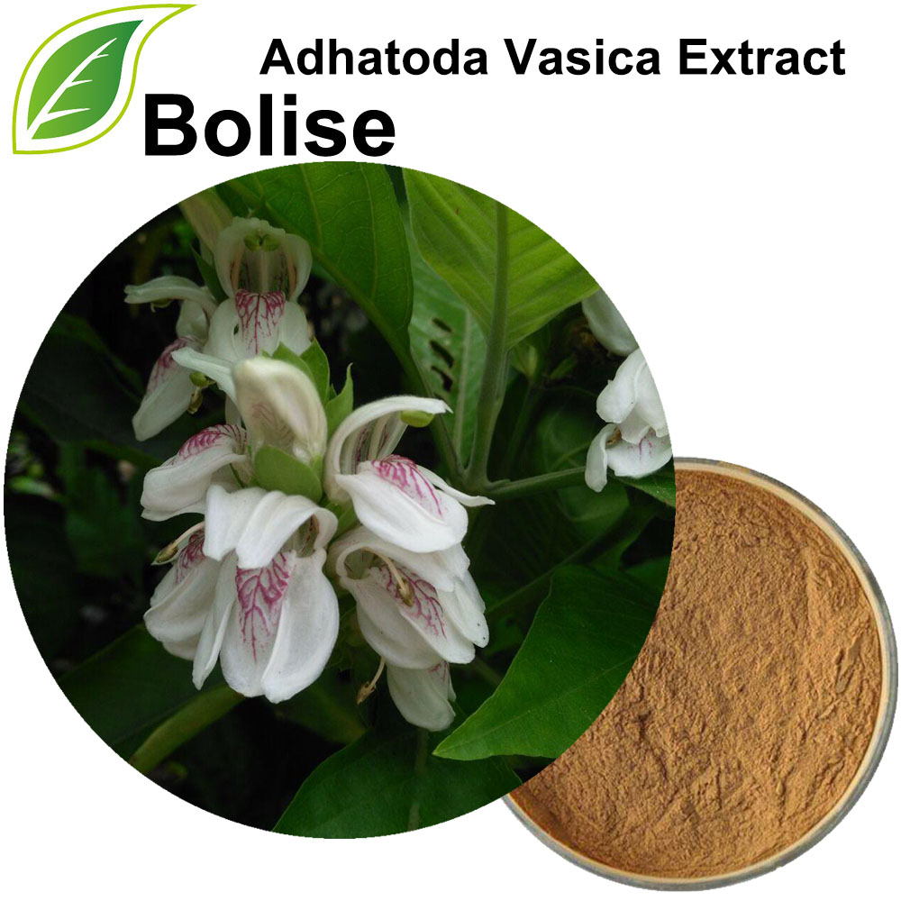 Adhatoda Vasica Extract(Justicia Adhatoda Extract)