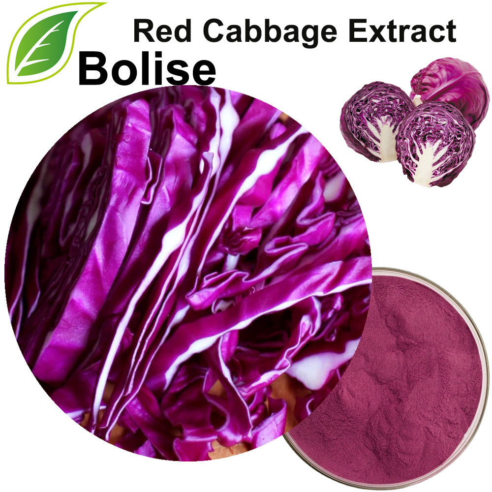 Red Cabbage Extract
