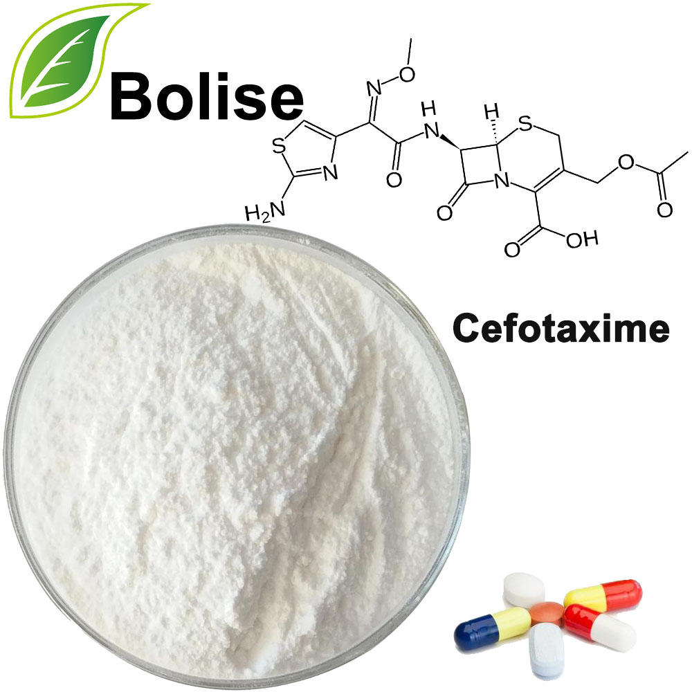 Cefotaxime