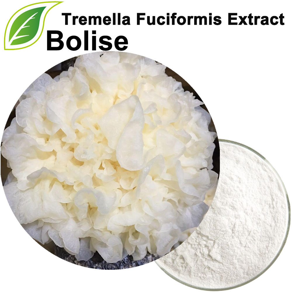 Tremella Fuciformis Extract(Tremella Extract)