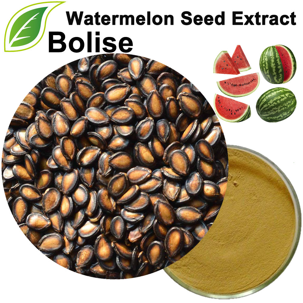 Watermelon Seed Extract