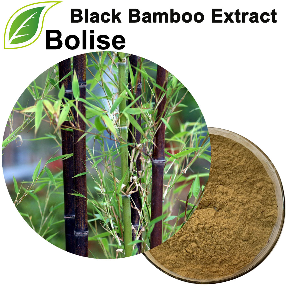 Black Bamboo Extract(Phyllostachys Nigra Extract)