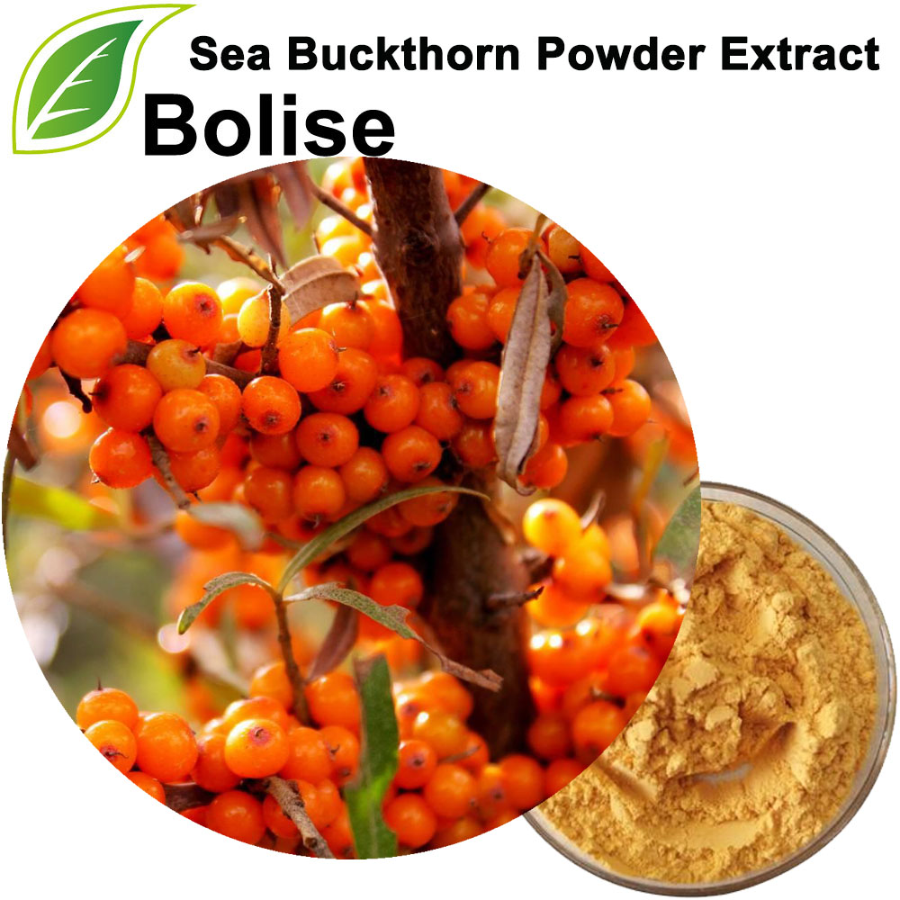 Sea Buckthorn Extract
