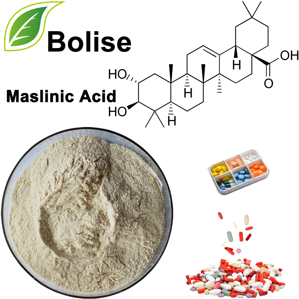 Maslinic Acid