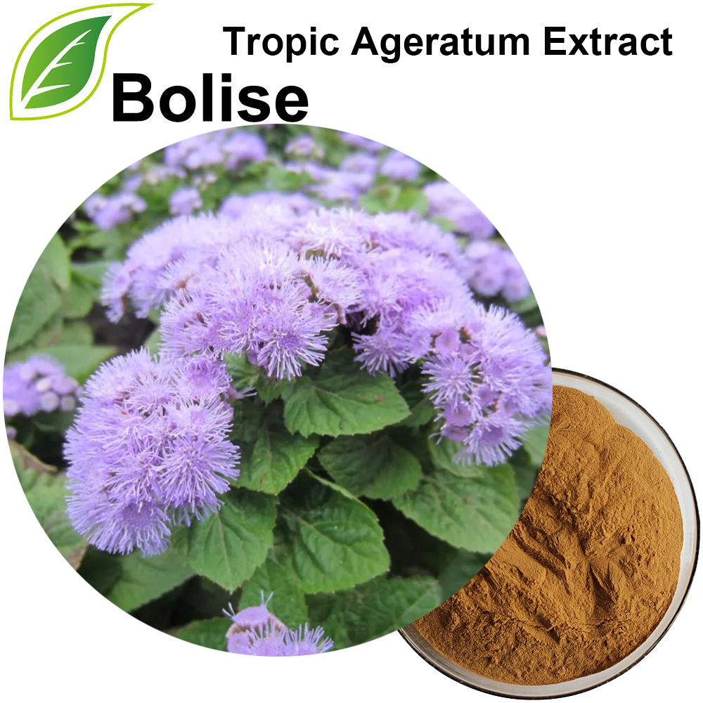 Tropic Ageratum Extract