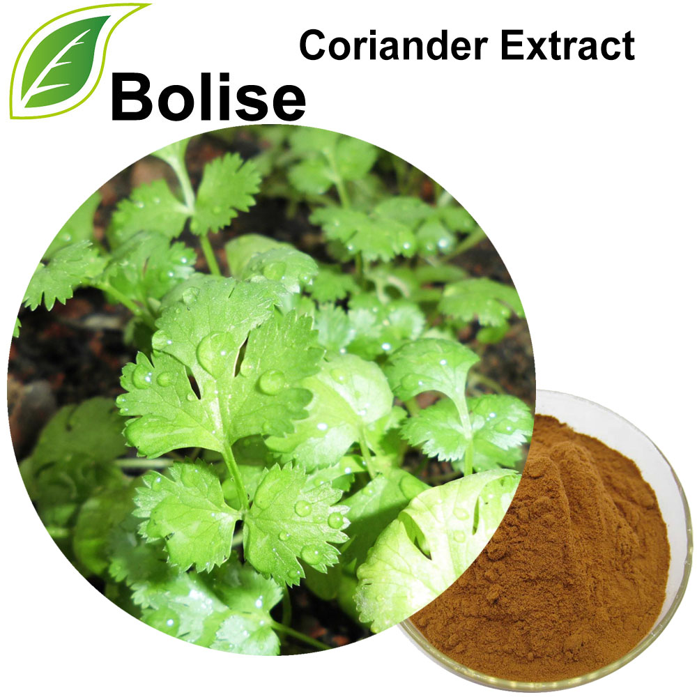 Coriander Extract
