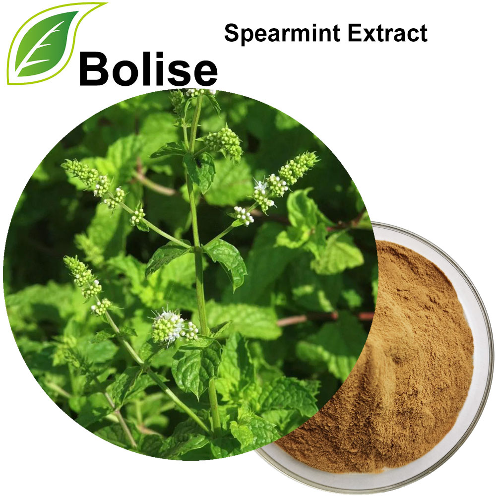 Spearmint Extract