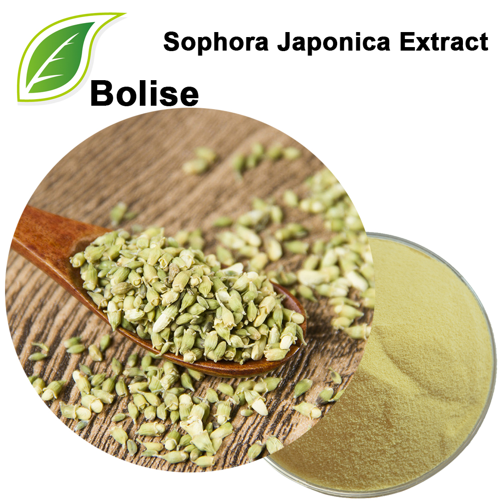 Sophora Japonica Extract