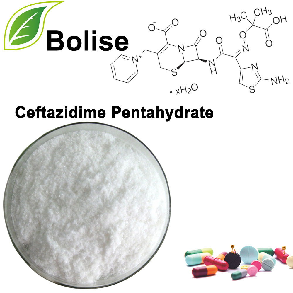 Ceftazidime Pentahydrate