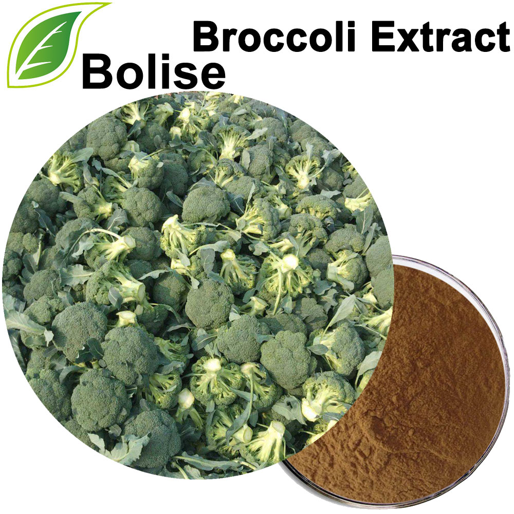 Broccoli Extract