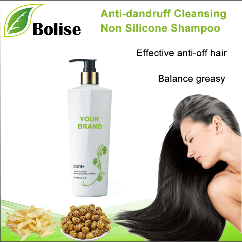 OEM Anti-dandruff Cleansing Non Silicone Shampoo