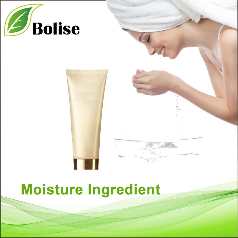 Moisture Ingredient