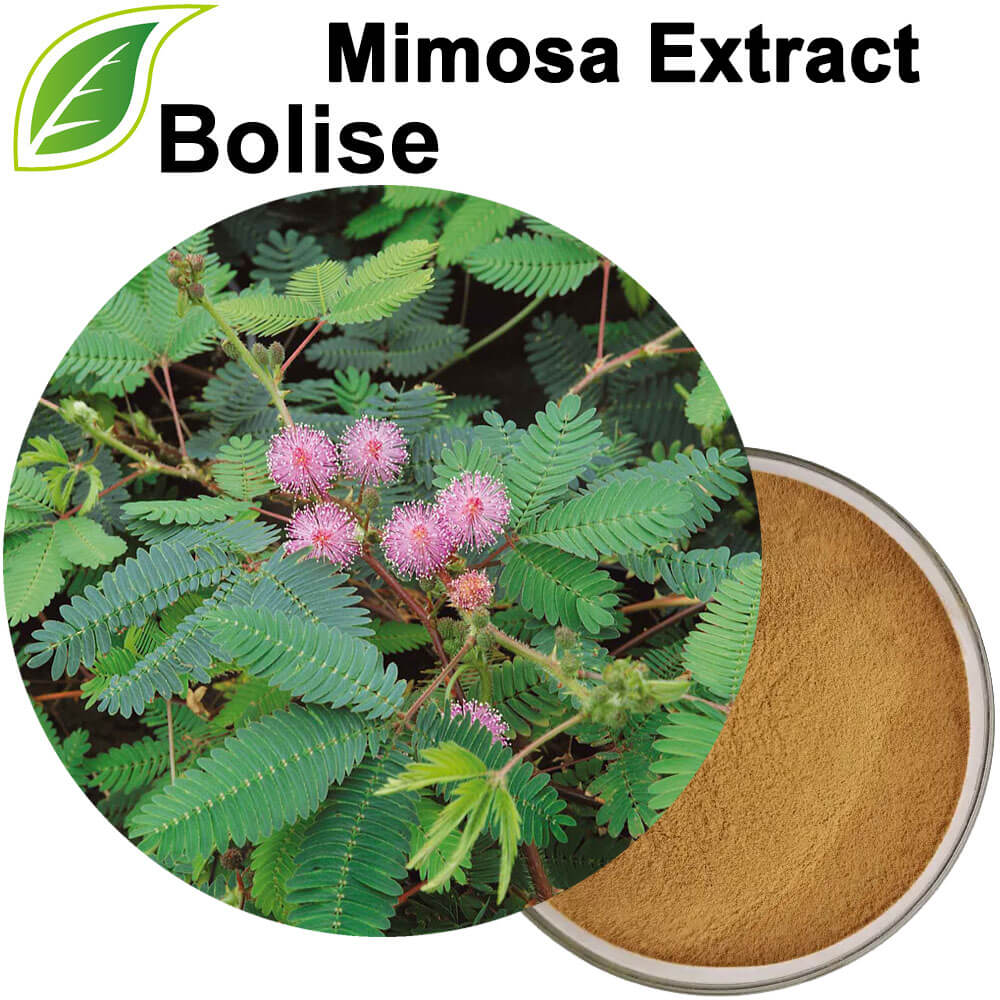 Mimosa Extract