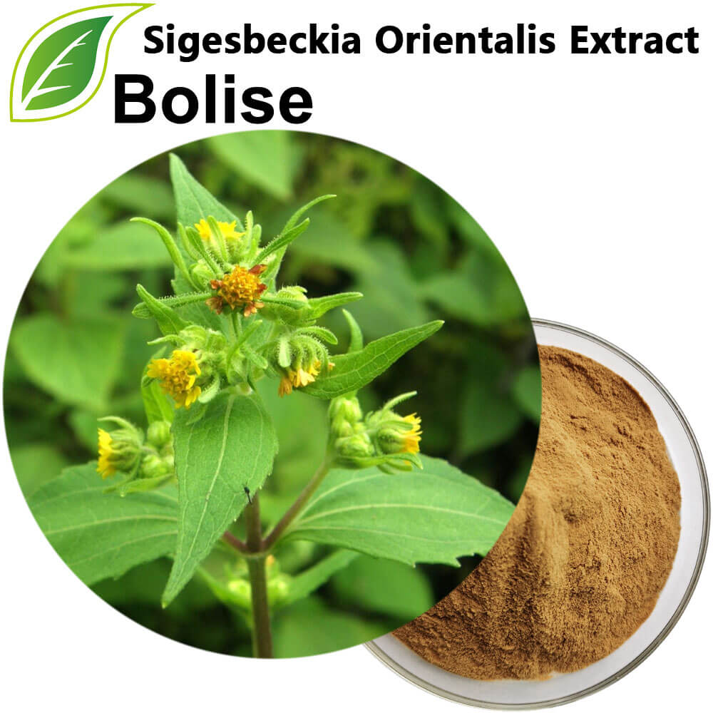 Sigesbeckia Orientalis Extract