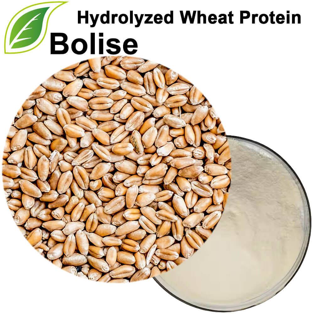 Hydrolyzed Wheat Protein