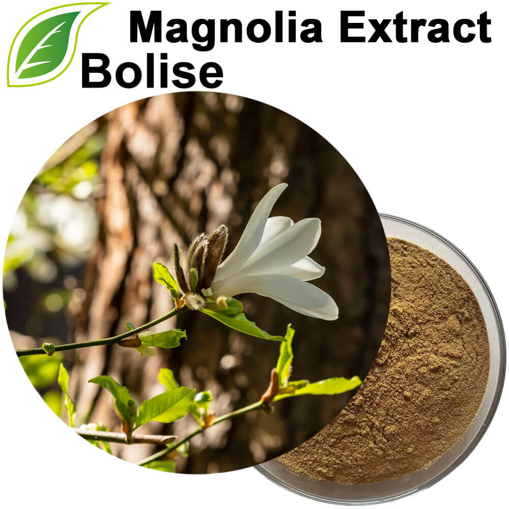 Magnolia Extract