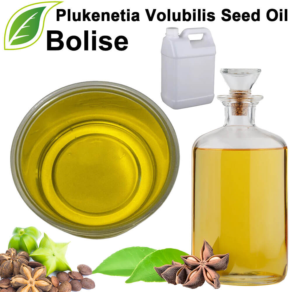Plukenetia Volubilis Seed Oil