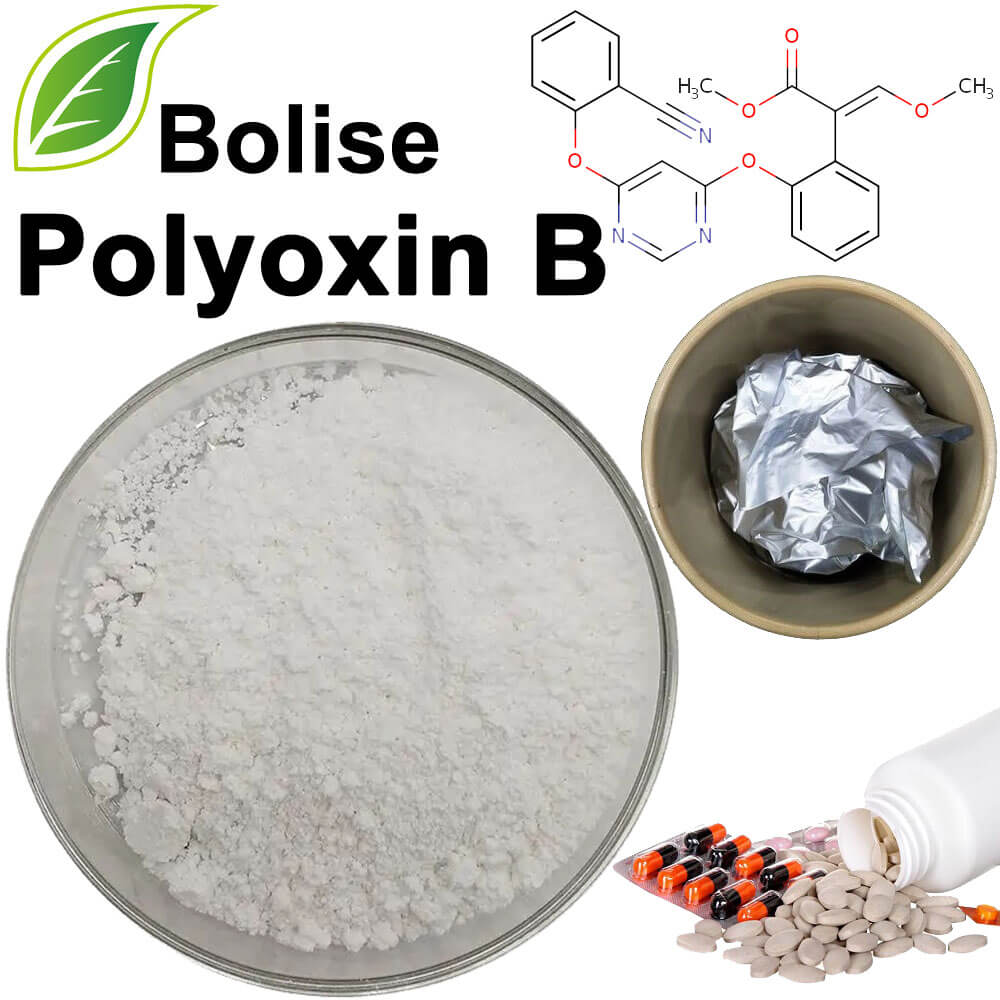 Polyoxin B