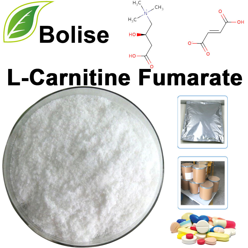 L-Carnitine Fumarate