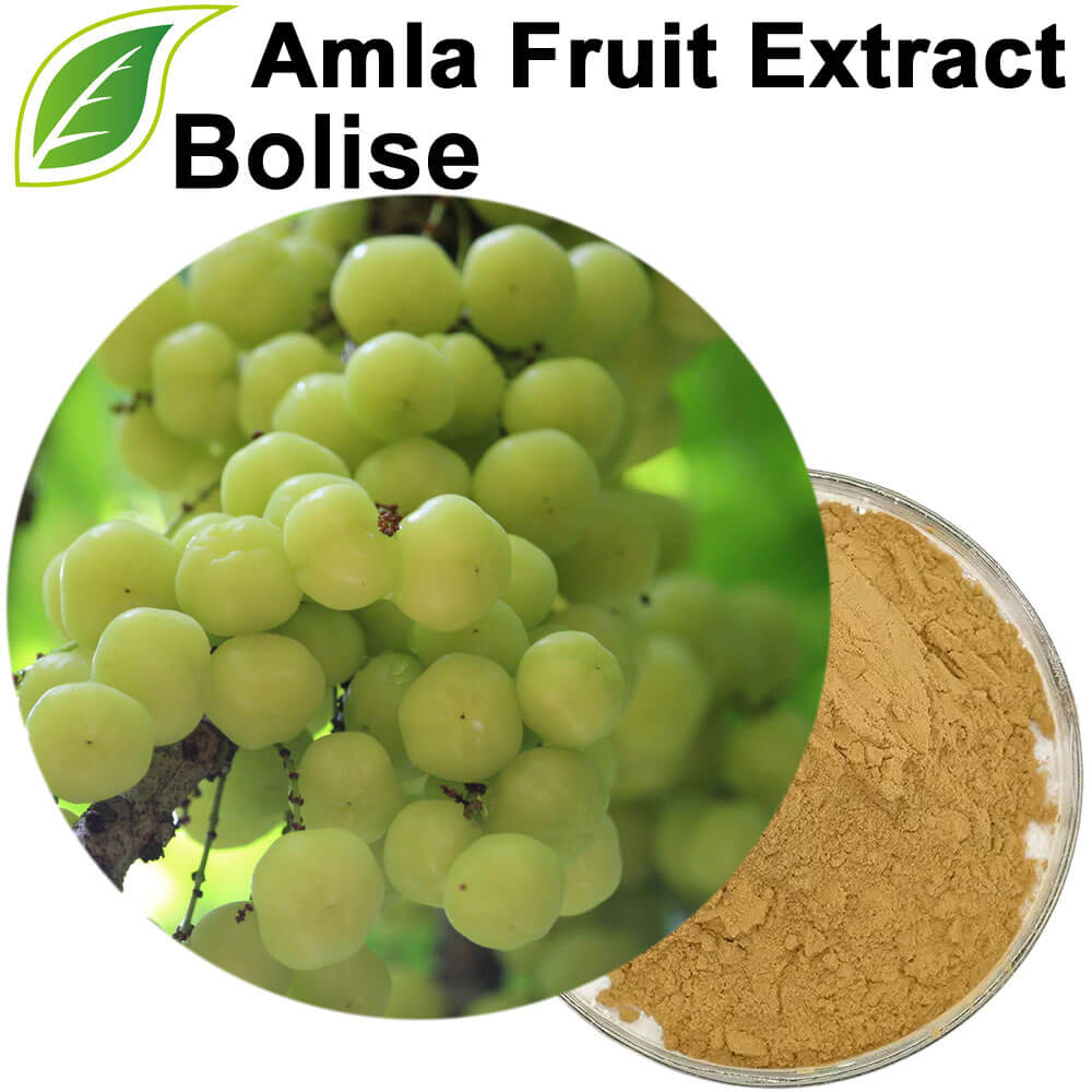 Amla Extract