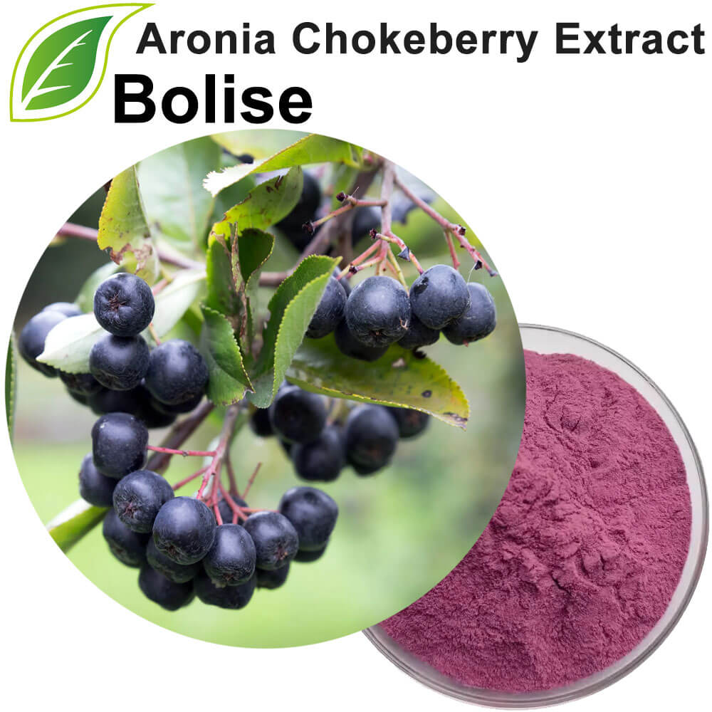 Aronia Chokeberry Extract (Aronia Melanocarpa Extract)