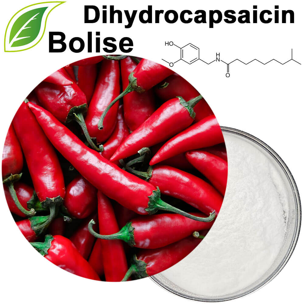 Dihydrocapsaicin