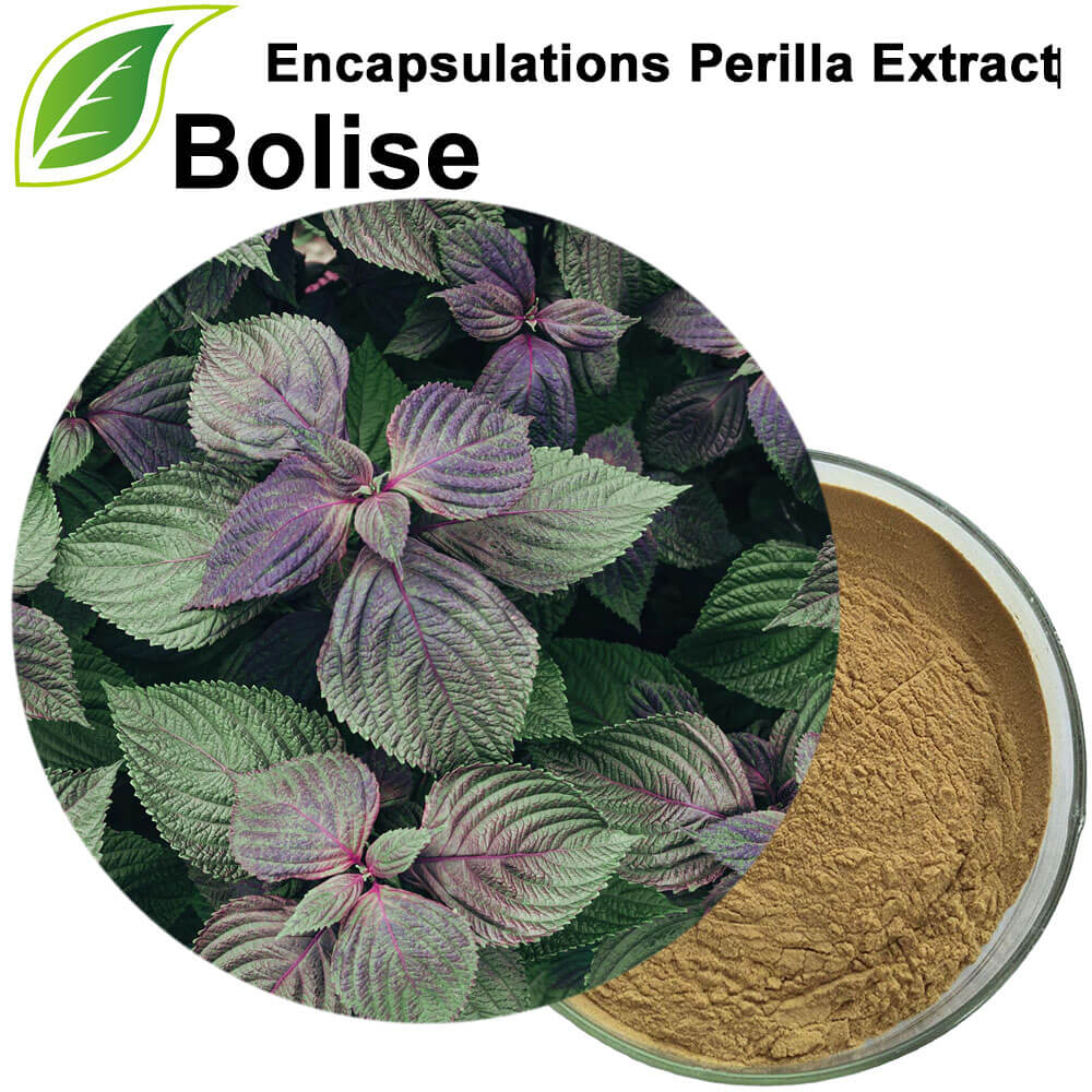 Encapsulations Perilla Extract‌