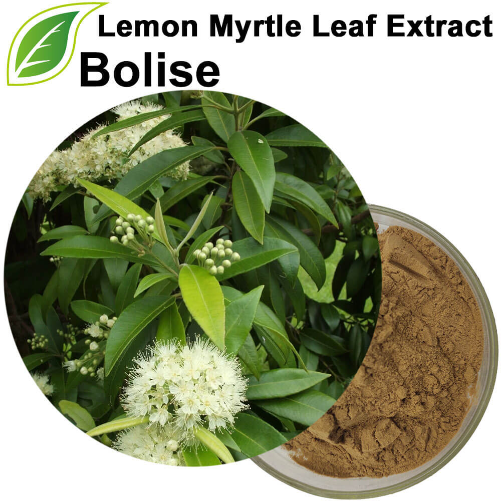 Lemon Myrtle (Backhousia Citriodora) Extract