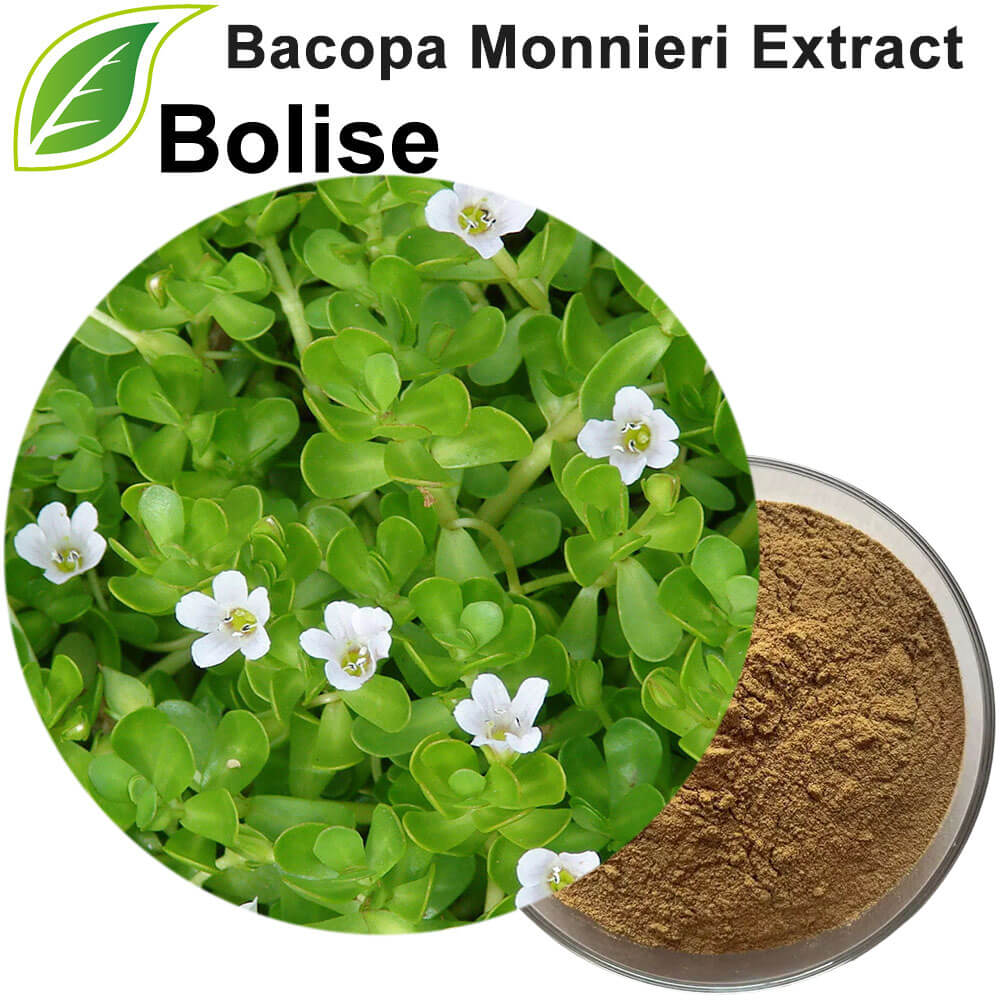 Bacopa Monnieri Extract (Leaf) Bacosides A-B 20%