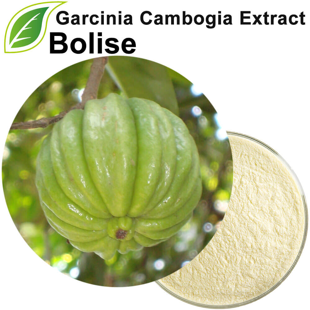 Garcinia Cambogia Extract (Brindleberry Extract)