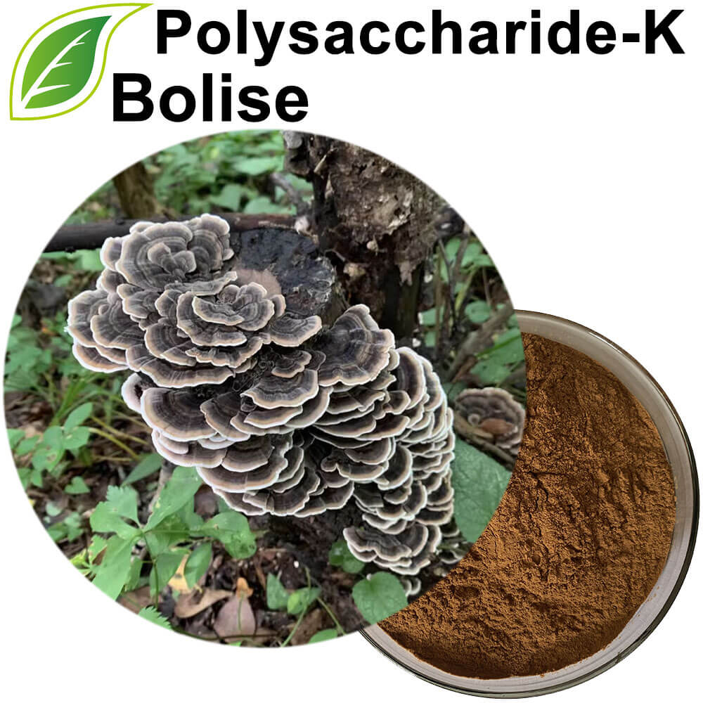 Polysaccharide-K