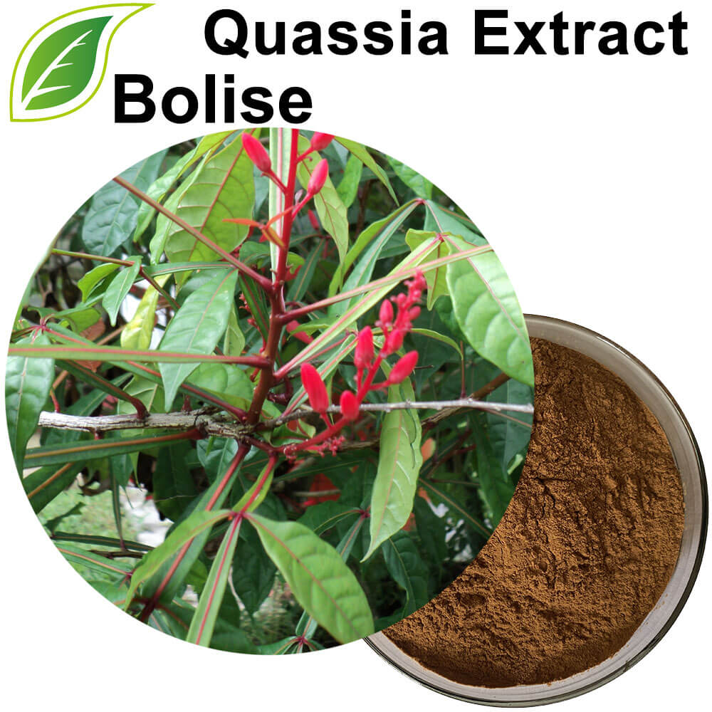 Quassia Extract