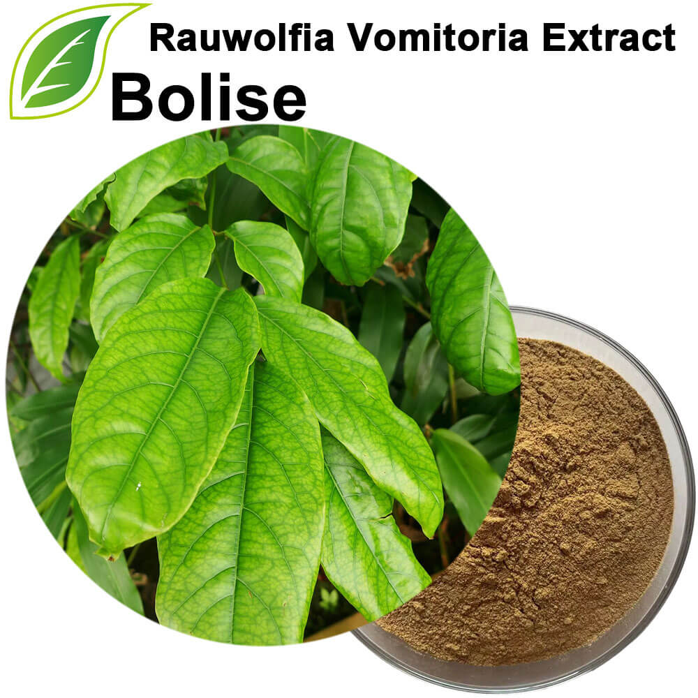 Rauwolfia Vomitoria Extract