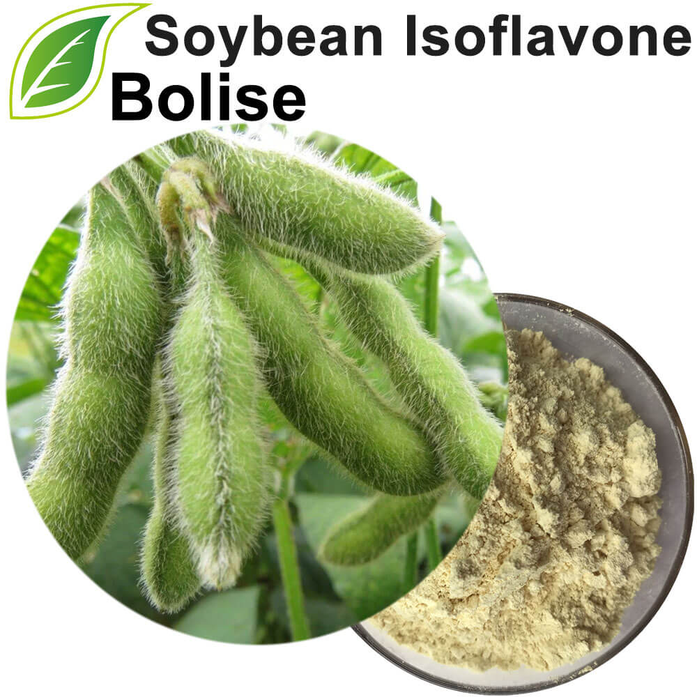Soybean Isoflavone