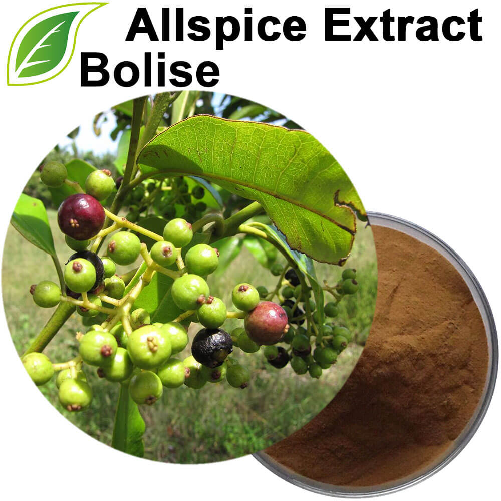 Allspice Extract