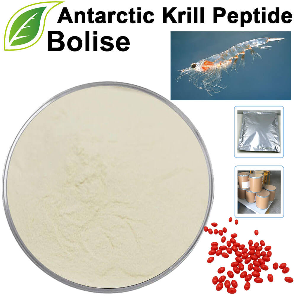 Antarctic Krill Peptide
