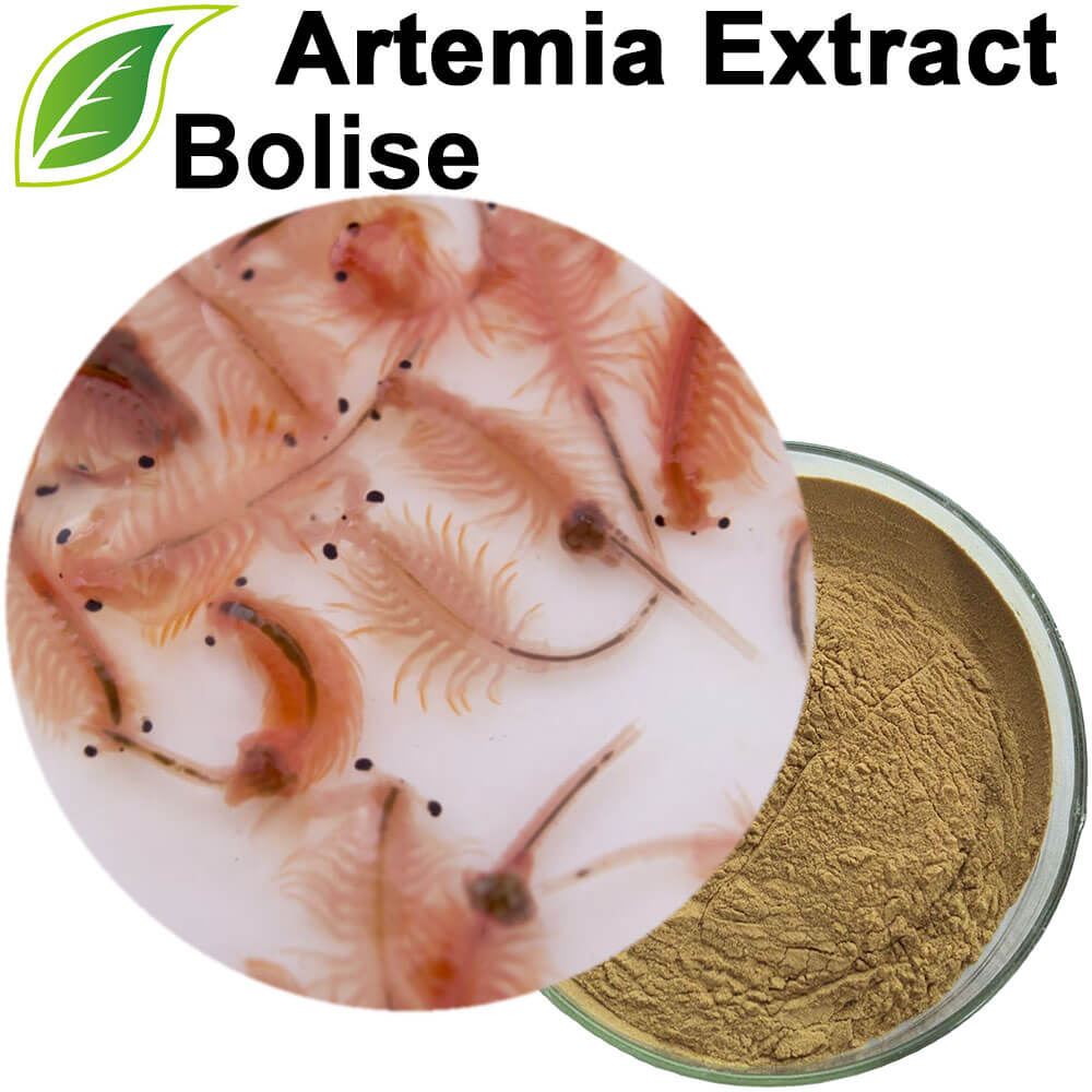 Artemia Extract