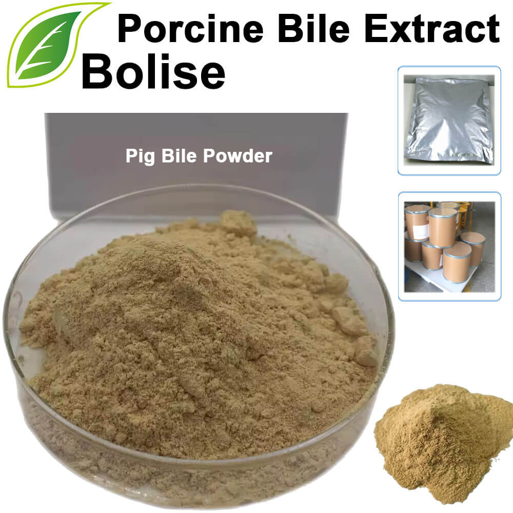 Porcine Bile Extract