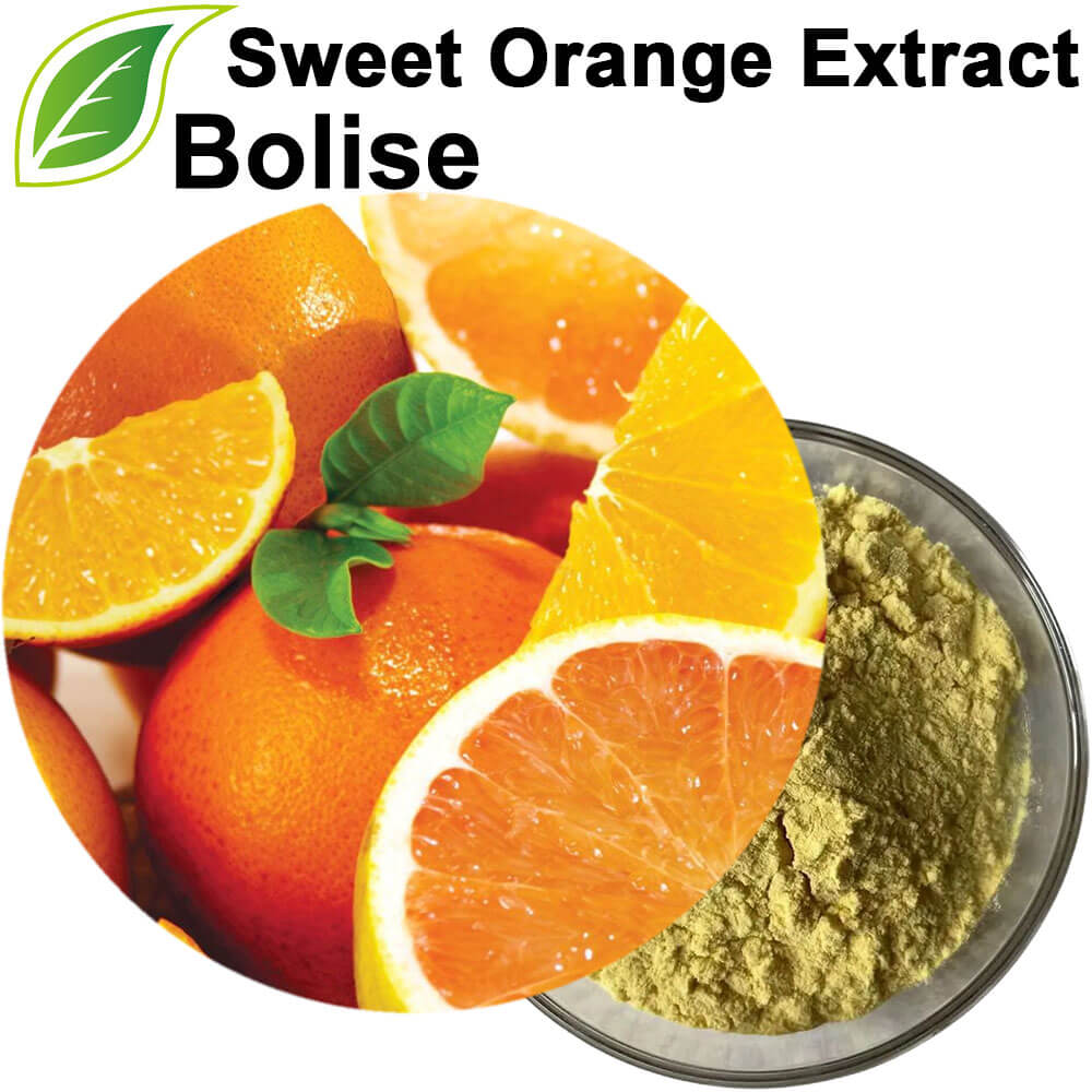 Sweet Orange Extract